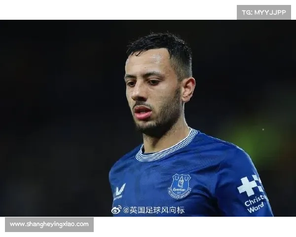 埃弗顿，球员伤病的困扰